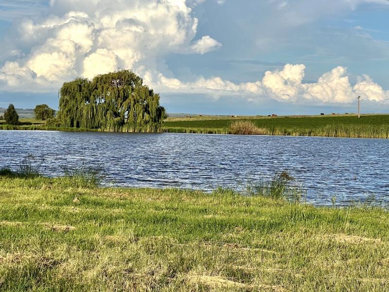 0 Bedroom Property for Sale in Bethlehem Rural Free State